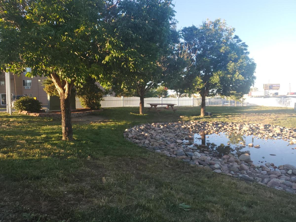 Hotel La Quinta By Wyndham Henderson-northeast Denver